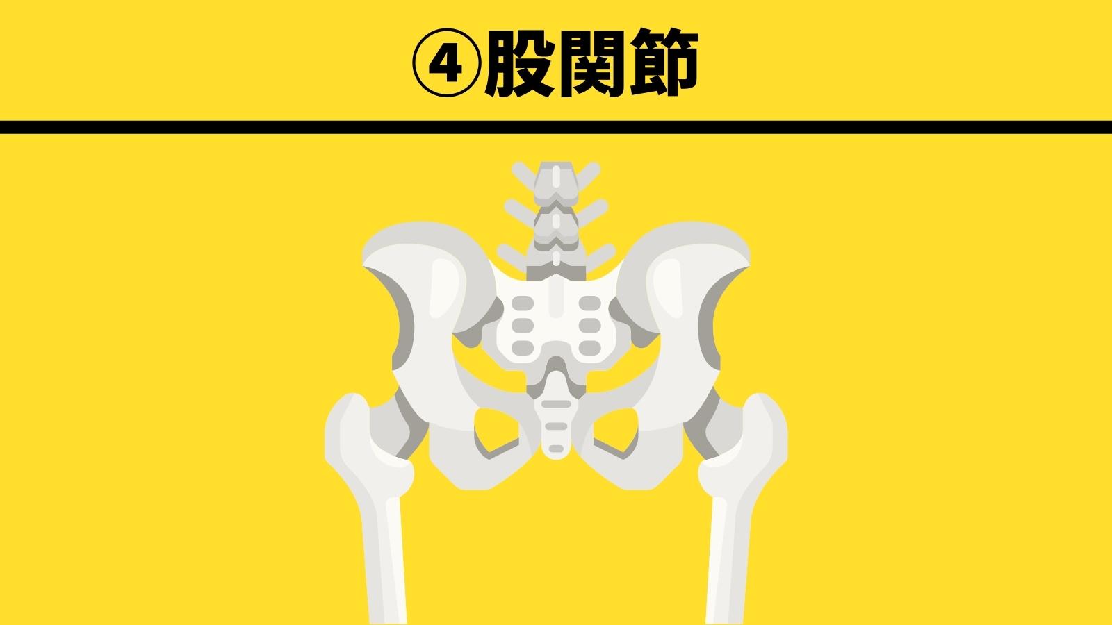 ④：股関節